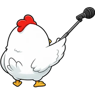 Der Reporter â Chicken Road Race