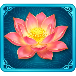 Der Lotus – Dragon Pots