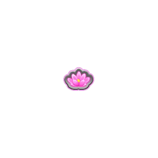 Der Lotus â Frog Road