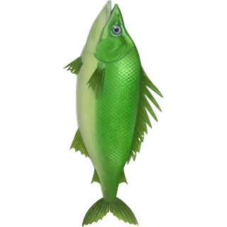 GrĂŒner Fisch â Ice Fish