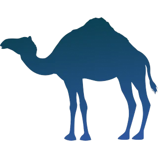Das Kamel – Plinko 1000